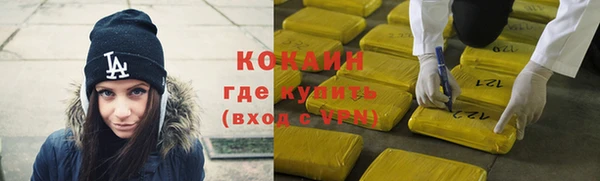 стаф Алзамай