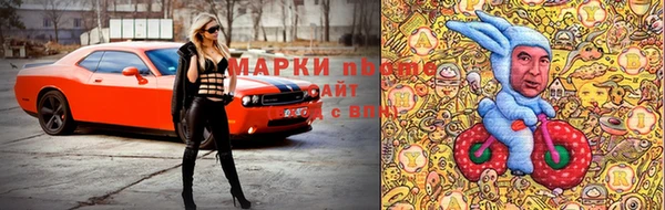 стаф Алзамай