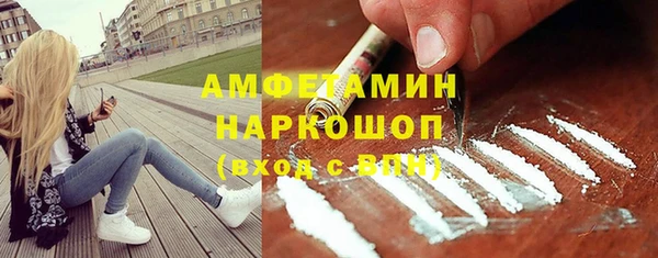 стаф Алзамай