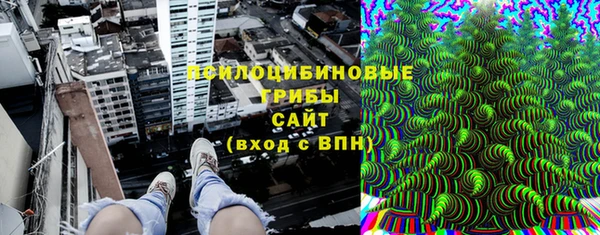 герыч Алексин