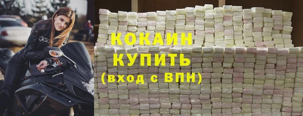 стаф Алзамай