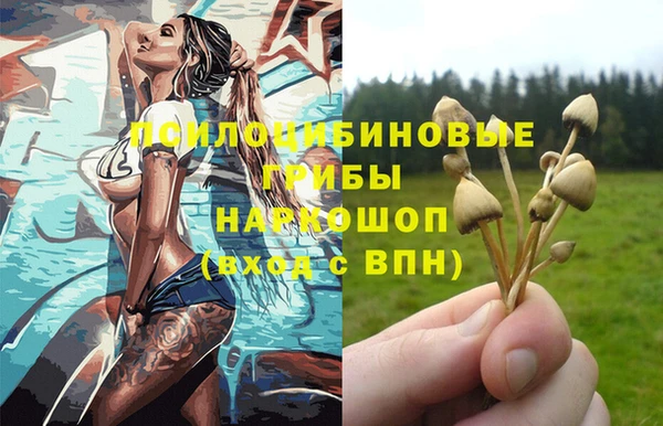 герыч Алексин