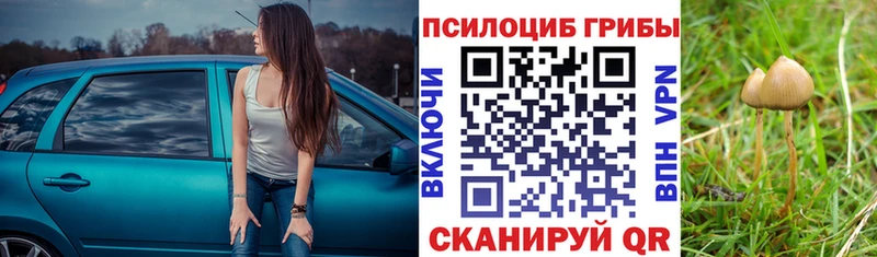 Псилоцибиновые грибы ЛСД  ОМГ ОМГ как зайти  Котельники 